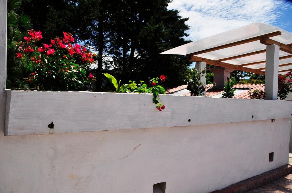 San Cristóbal de Las Casas 星球旅舍旅舍 外观 照片