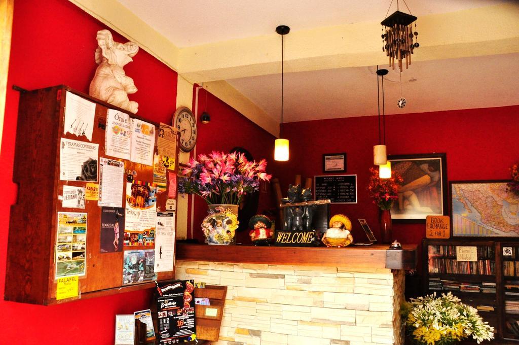 San Cristóbal de Las Casas 星球旅舍旅舍 外观 照片