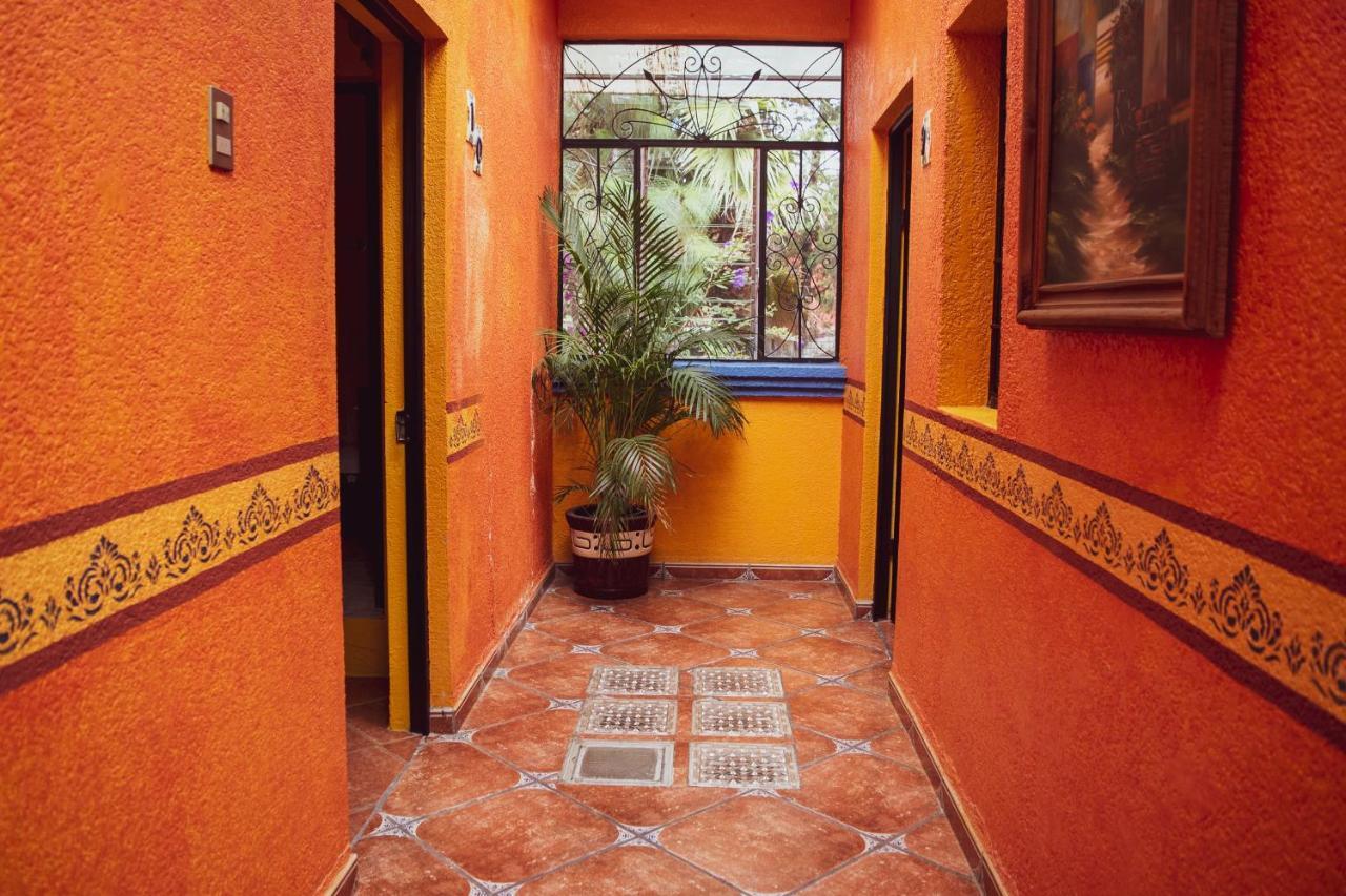 San Cristóbal de Las Casas 星球旅舍旅舍 外观 照片
